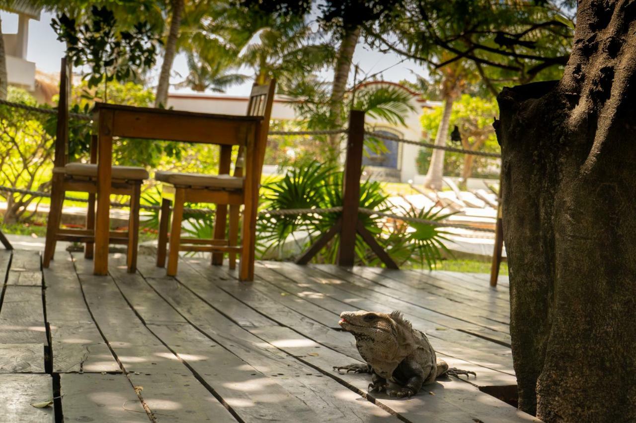 Marina Paraiso Isla Mujeres Hotel Eksteriør bilde